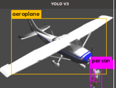 _images/airplane_person.png